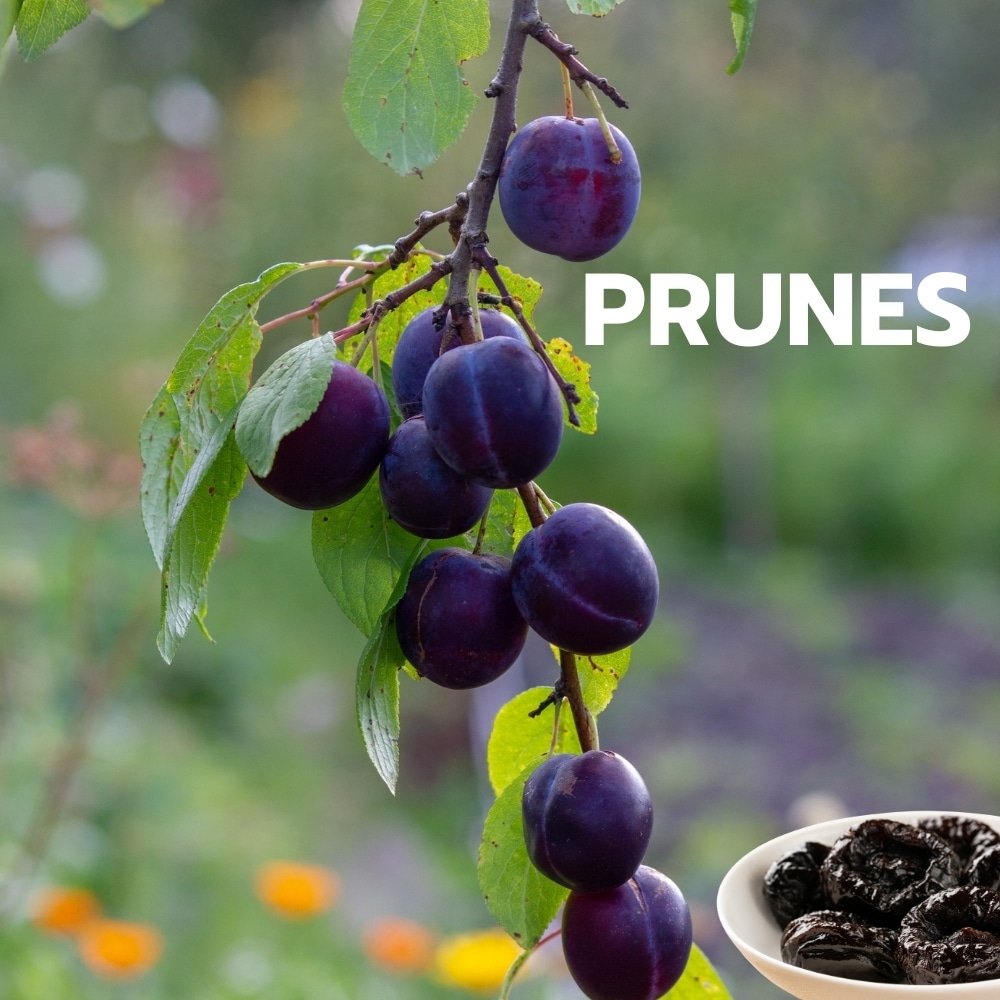 Prunes Dried 250gram | High in Dietary Fiber | Health Snacks | Source of Fiber