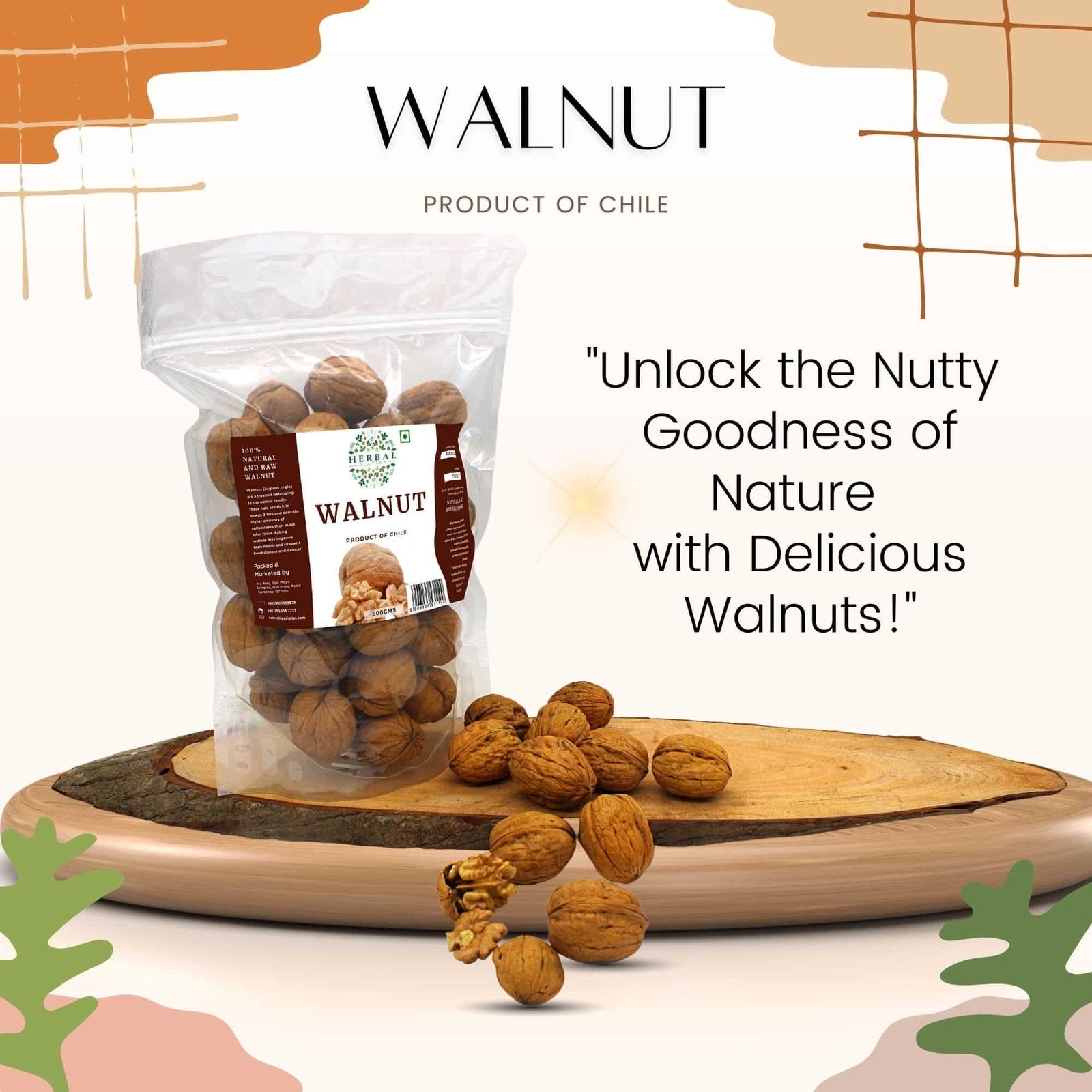 Premium Walnuts with Shell| Akhrot| Product of Chile| Low Calorie Nut| 500g pack Premium Assorted Dry Fruits & Nuts